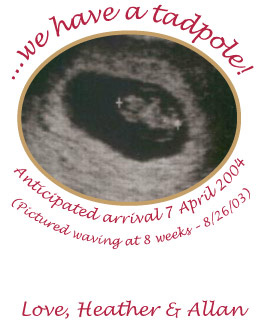preg-ann-2.jpg (52991 bytes)
