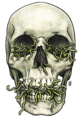 Thumbnail for version as of 05:11, 12 December 2018
