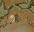 1996 Dragon Annual #1, art from the Sutherland map