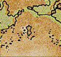 Thumbnail for version as of 15:43, 26 July 2022