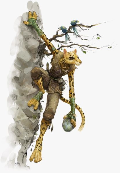 File:Tabaxi05.jpg