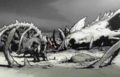 Thumbnail for version as of 14:00, 13 January 2023